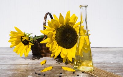 Health Benefits of Sunflower Oil
