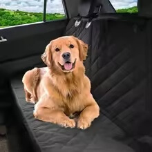 Protect Your Interior: The Best Waterproof Dog Car Seat Cover https://ezzybrown.com.ng/
